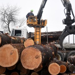 Britton Lumber Hopes to Rebuild Sawmill