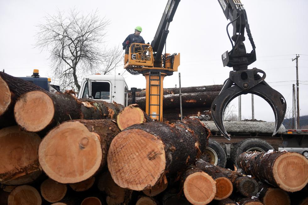 Machine operator Jody Welch moves a pile of logs into a truck bound for Canada at Britton Lumber Company in Fairlee, Vt., on April 10, 2015. Logs that were intended for the now-destroyed sawmill have been sold to other sawmills to recoup some of the original cost.  (Valley News - Sarah Priestap) <p><i>Copyright © Valley News. May not be reprinted or used online without permission. Send requests to permission@vnews.com.</i></p> - Sarah Priestap | Valley News