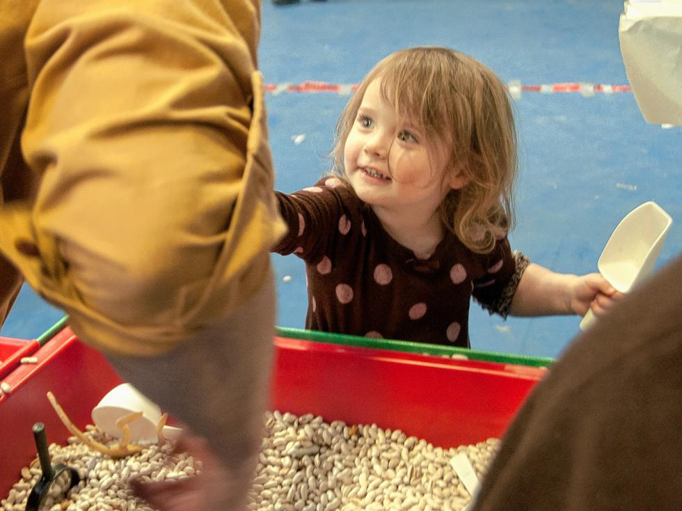 Willow Wood, 3, of Sharon, Vt., plays with dried beans at the Valley Food and Farms display. Valley Food and Farms is part of Vital Communities. (Medora Hebert photograph) - 