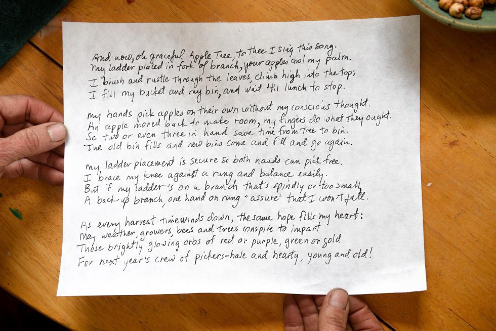 Jenny Wright wrote a four verse song trying to touch on all aspects of the apple harvest. Wright has an intimate knowledge of the trees, fruit and wood she has worked with for over 40 years. In addition to pruning trees, picking and eating the fruit, she makes spoons and forks with apple wood and forces blossoms in the spring to brighten her home. (Valley News - James M. Patterson) Copyright © Valley News. May not be reprinted or used online without permission. Send requests to permission@vnews.com. - James M. Patterson | Valley News