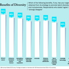 The HR Pro: Diverse Reasons for Building Workplace Diversity