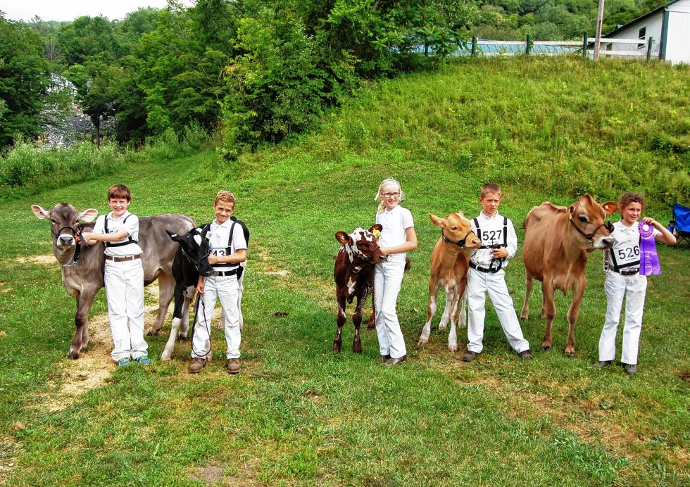 Winners in the junior breed championships at the Central and Southeast Region 4-H Dairy Show, July 14 in Tunbridge, were (left to right): Keenan Thygesen, Tunbridge (Brown Swiss);  Dylan Slack, Bethel (Holstein);  Grace Collins, South Royalton (Ayrshire); Zachary Johnson, Tunbridge (Guernsey); and Regan Johnson, Woodstock (Jersey)  (photo credit: Allison Smith/UVM Extension) - 