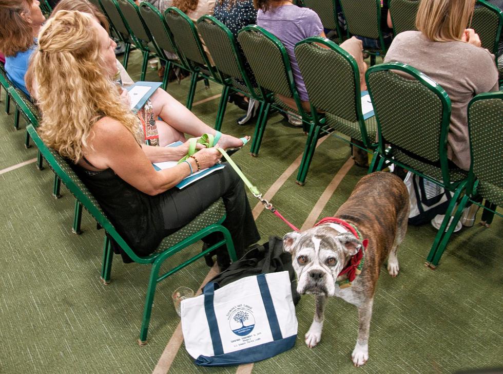 Service dog Dakoda and with her owner, Joanne Blaney, of Morristown, Vt.,  listen during a presentation at last month's Women’s Economic  Opportunity Conference at Vermont Technical College. Medora Hebert  photograph - 