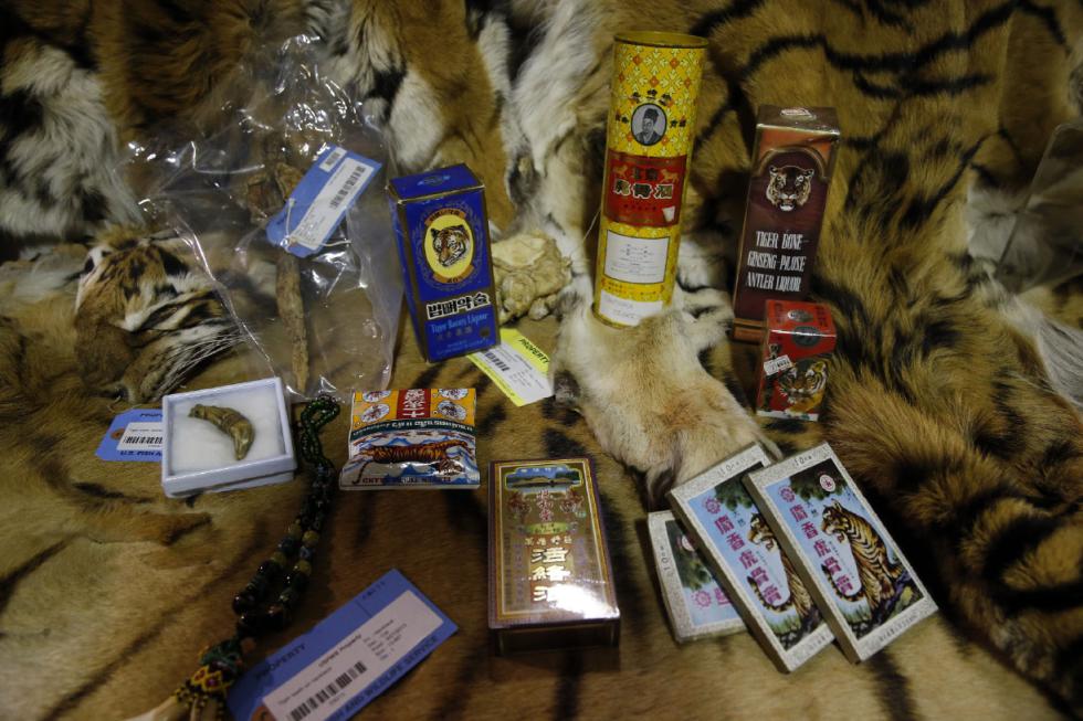 In this Oct. 20, 2015 photo, illegally trafficked animal products are displayed in a warehouse at the National Wildlife Property Repository in Commerce City, Colo. A multibillion-dollar industry, the black market in wildlife is the fourth-most-profitable in the world, after illegal trafficking in weapons, drugs and humans, according to the U.S. Fish and Wildlife Service's Office of Law Enforcement. (AP Photo/Brennan Linsley) - Brennan Linsley | AP