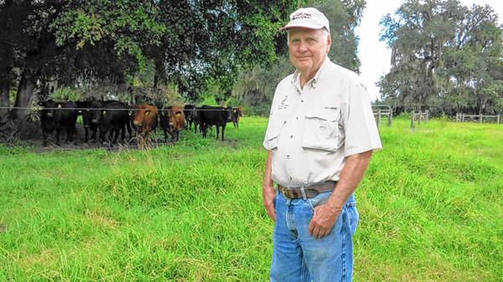 David Strawn, 79, is a retired Brevard-Seminole circuit judge and president of Deep Creek Farm in DeLeon Springs, Fla. He raises grass-fed cattle and sells the meat directly to consumers. (Susan Jacobson/Orlando Sentinel/TNS) - Susan Jacobson | Orlando Sentinel