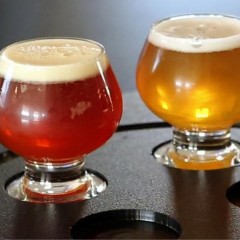 Universities Tap Into Craft Beer Growth by Offering Classes