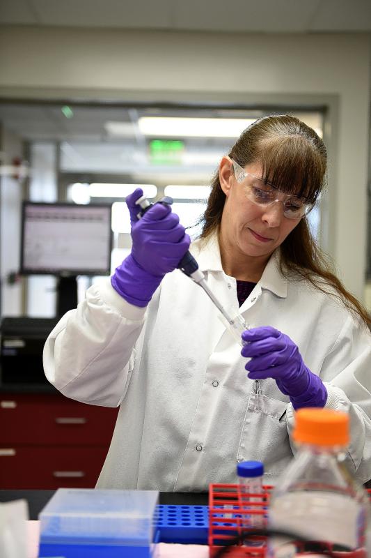 Manufacturing Science and Analytical Technician Erin Giaccone works in her lab on March 15, 2016, at Novo Nordisk in West Lebanon, N.H.  (Valley News - Jennifer Hauck) <p><i>Copyright Â© Valley News. May not be reprinted or used online without permission. Send requests to permission@vnews.com.</i></p> - Jennifer Hauck | Valley News
