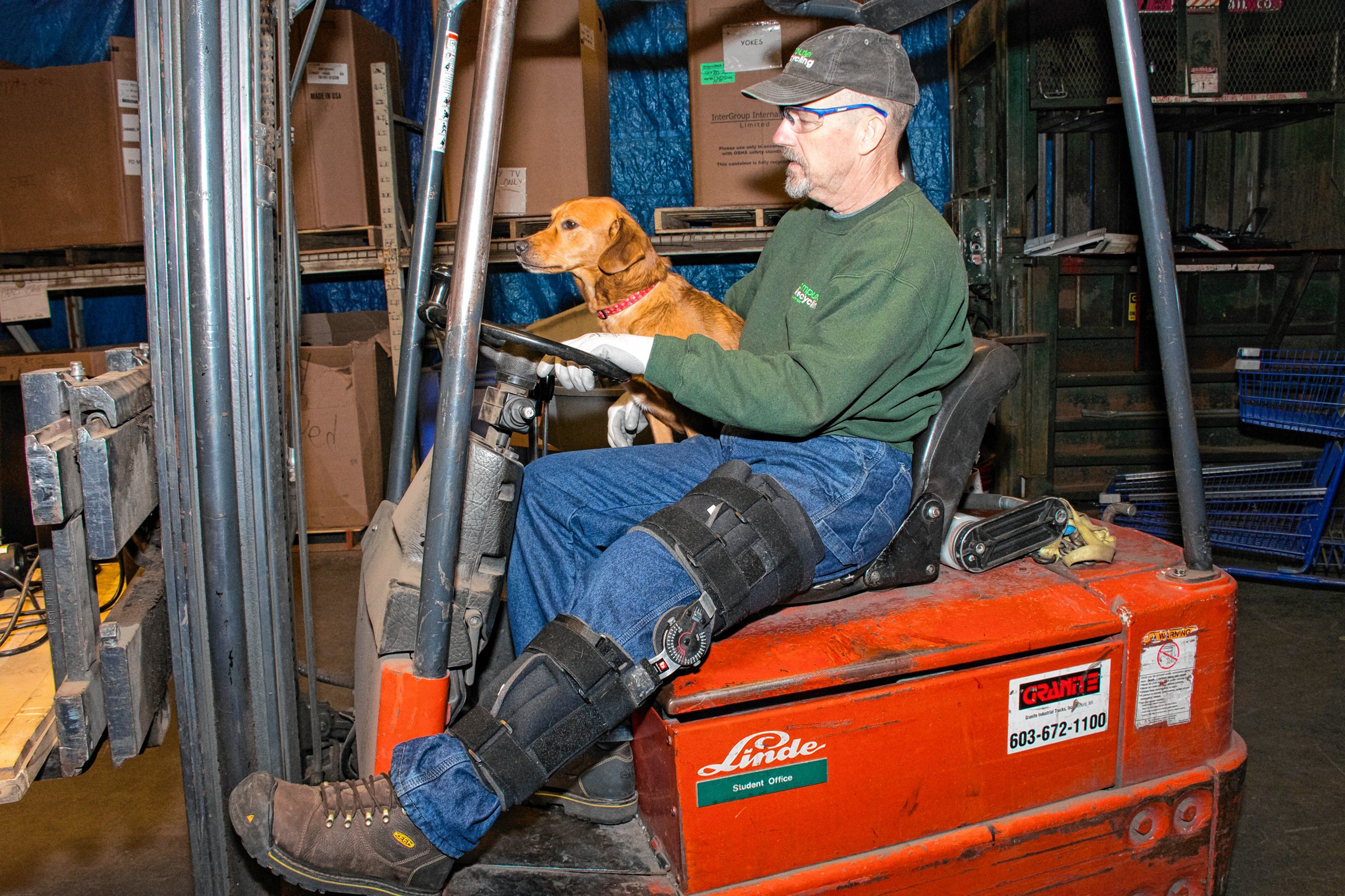 Penny, Ken and Joyce's dog, helps Ken with the forklift moving things around in the warehouse. Nancy Nutile-McMenemy photograph