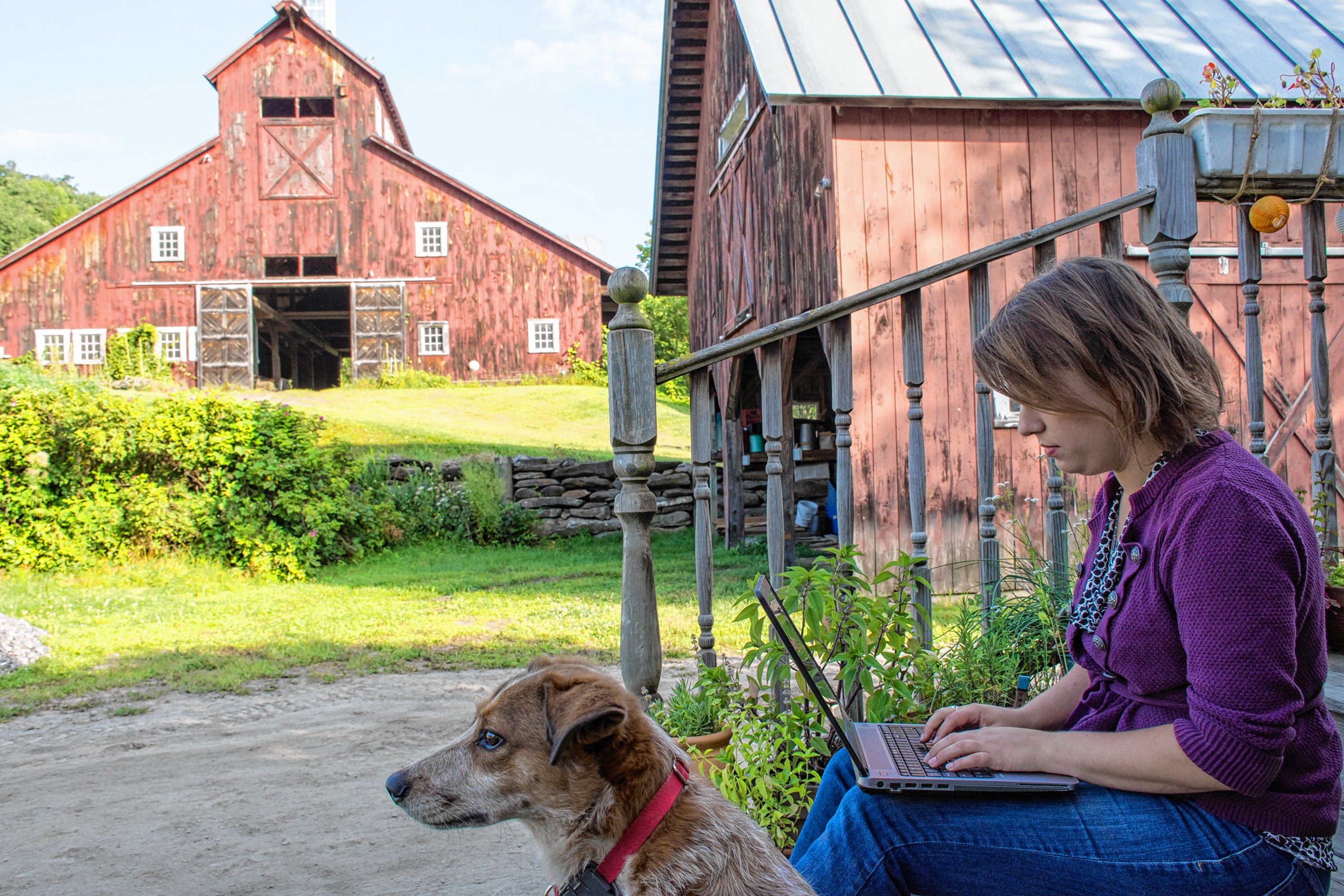 Sarah Danly, network manager for Vermont's Farm to Plate food system plan, works from her "home office" -- the steps of her rented house on a farm in Royalton, Vt.., as her officemate, Else the dog, keeps watch. (Nancy Nutile-McMenemy photograph)