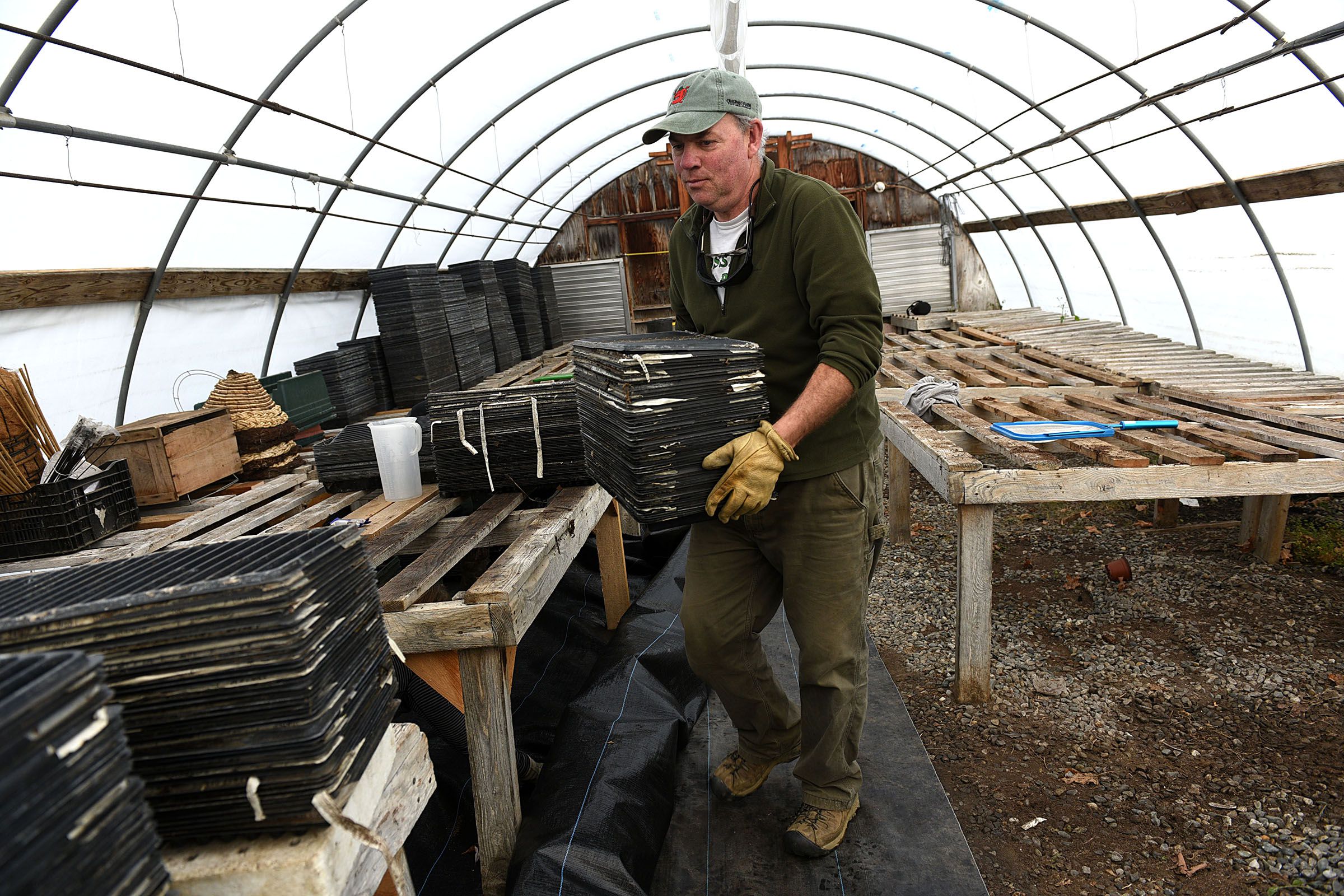 Tim Taylor,of Crossroad Farm in Post Mills, Vt. works in one of the farm's greenhouses on Dec. 1, 2016. (Valley News - Jennifer Hauck) Copyright Valley News. May not be reprinted or used online without permission. Send requests to permission@vnews.com.