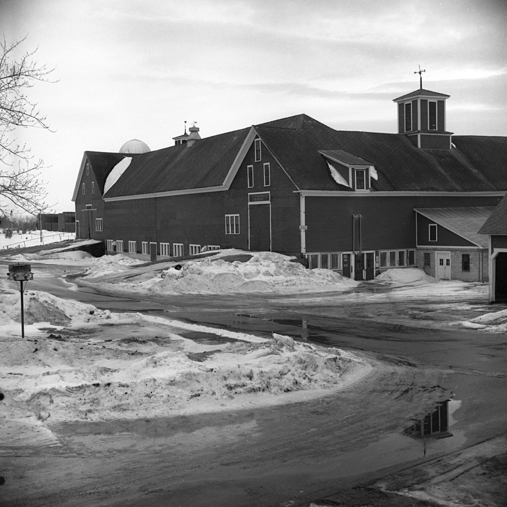 This large barn is one of several buildings on the Grafton County Farm in North Haverhill, N.H., in Feb. 1973. The building is 325 feet long and houses the milking herd as well as the beef cattle and heifers. The swine are kept in another building. (Valley News - George Lambert) Copyright Valley News. May not be reprinted or used online without permission. Send requests to permission@vnews.com.