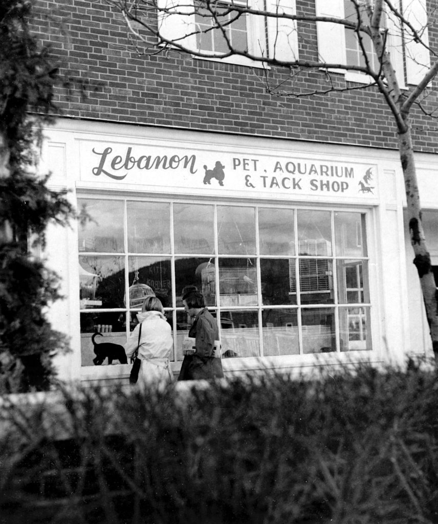 Lebanon Pet, Aquarium and Tack Shop on the Lebanon Mall in late 1975. Asian Superstore is in the location in 2018. (Valley News photograph) Copyright Valley News. May not be reprinted or used online without permission. Send requests to permission@vnews.com.