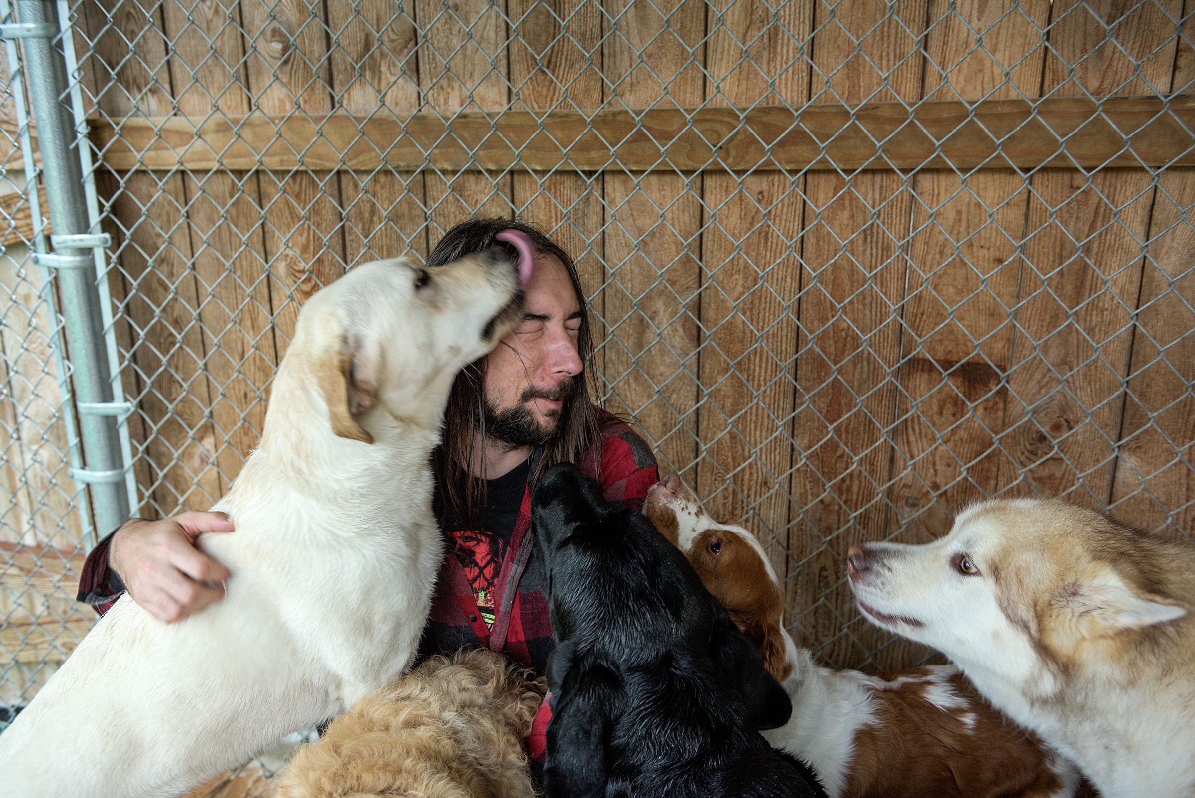 Chris Clough gets a pile of affection from a group of daycare dogs after playing with them in the yard of Mountain View Pet Resort in Canaan, N.H., Thursday, Sept. 26, 2019. Clough and his wife Kori are on call around the clock to attend to the needs of dogs boarding at the facility. (Valley News - James M. Patterson) Copyright Valley News. May not be reprinted or used online without permission. Send requests to permission@vnews.com.