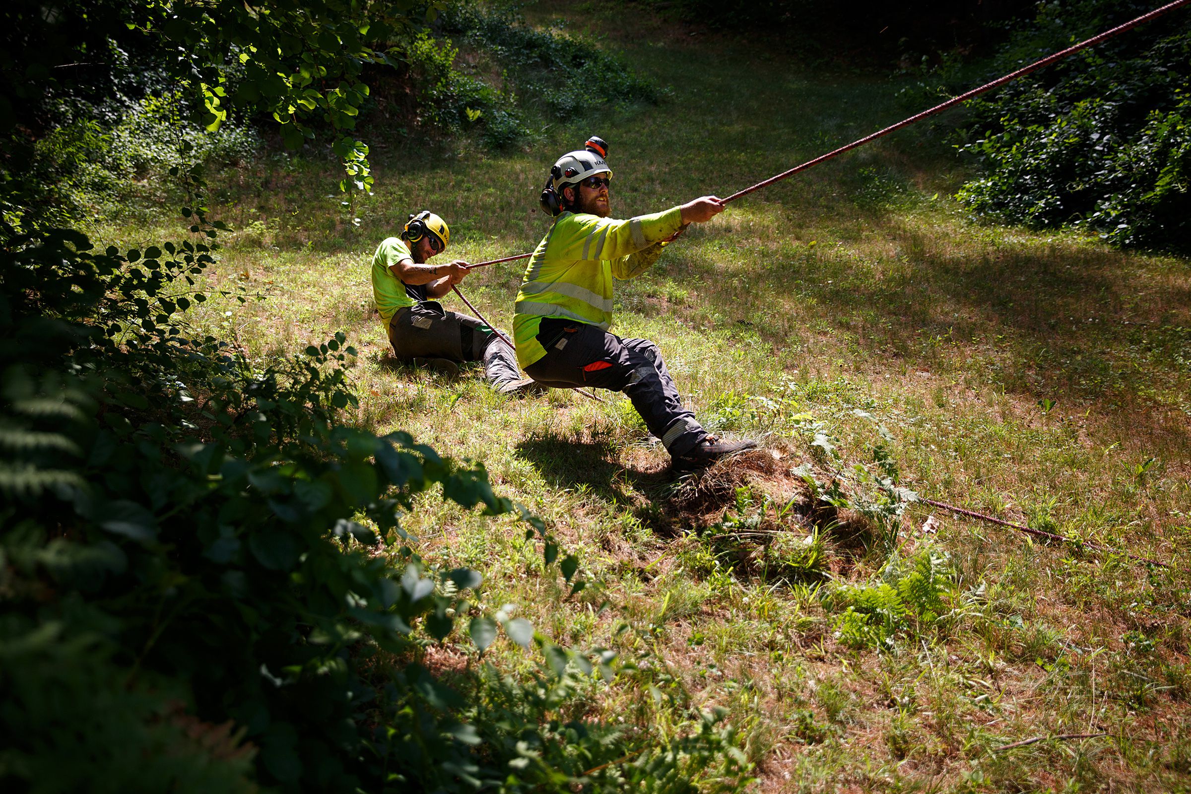Logan Shank, left, of Springfield, N.H., and Nathaniel Moore, of Canaan, N.H., pull on a rope tied to a tree as they remove it at a home in Hanover, N.H., on Wednesday, June 30, 2021. (Valley News / Report For America - Alex Driehaus) Copyright Valley News. May not be reprinted or used online without permission. Send requests to permission@vnews.com.