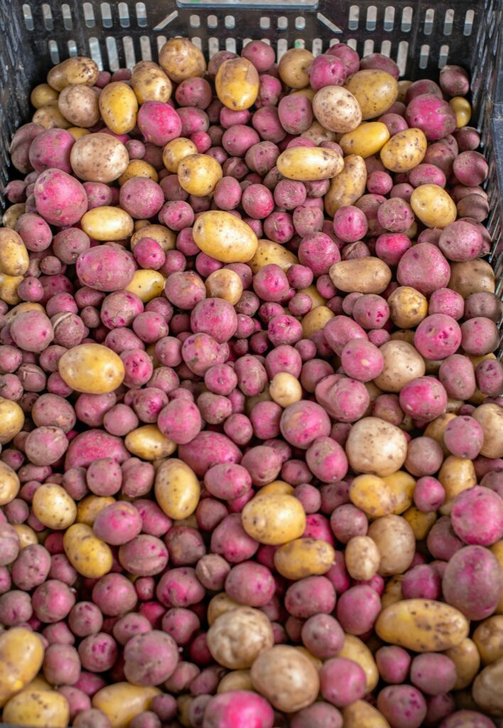Patatas cultivadas localmente a granel.  (Molly Drummond fotógrafa)