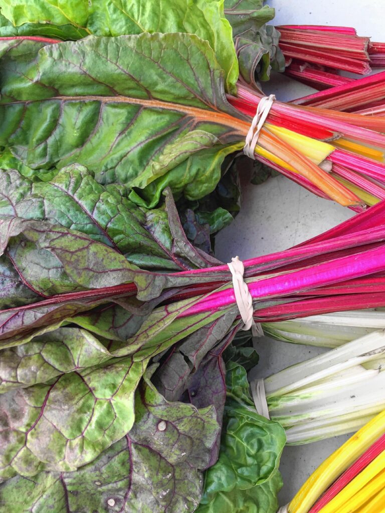 Es fácil secar verduras como la acelga arcoíris para que luego se puedan agregar a las sopas.  (Fotografía de Comunidades Vitales)