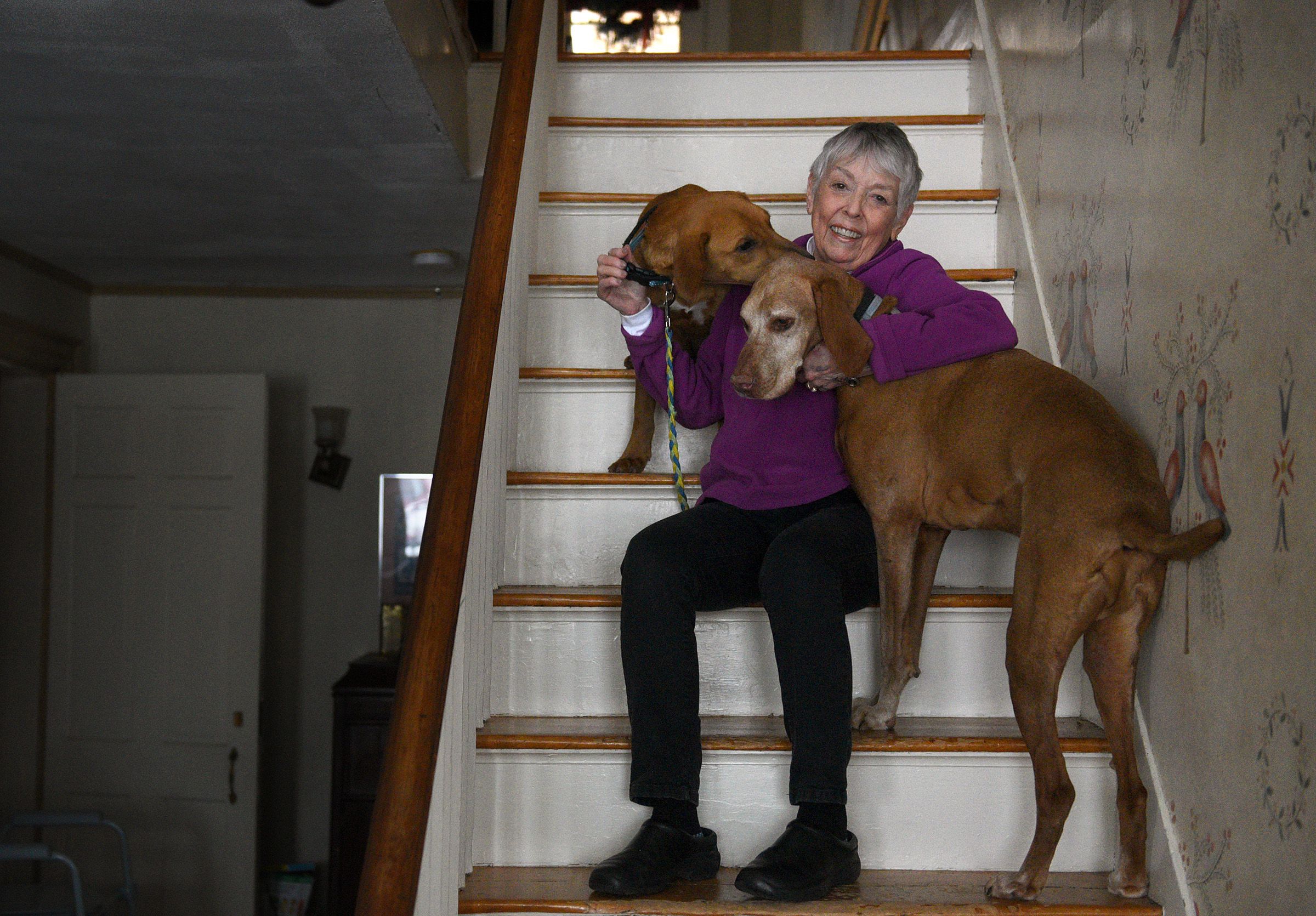 Nancy Smith opened the Shaker Hill Inn Bed and Breakfast in 1998 in Enfield, N.H. Smith was home on Thursday, Jan. 12, 2023, with her two dogs Bo and Marley.  (Valley News - Jennifer Hauck) Copyright Valley News. May not be reprinted or used online without permission. Send requests to permission@vnews.com.